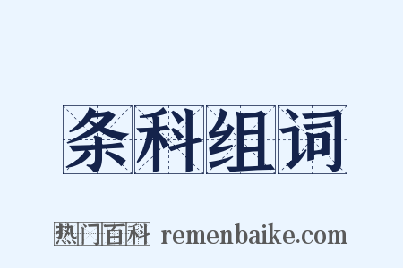 条科组词是什么意思的图片
